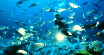 Gozo Uncovered – The Island Every Diver Needs to Explore 96-863