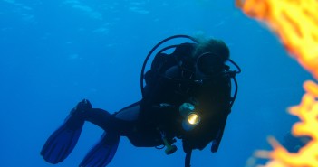 Emperor Divers Marsa Alam