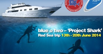 blue o two ‘Project Shark’ trip auction raises £910 for Bite-Back… Blue O Two Project Shark