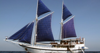 Komodo Dancer at The Scuba News