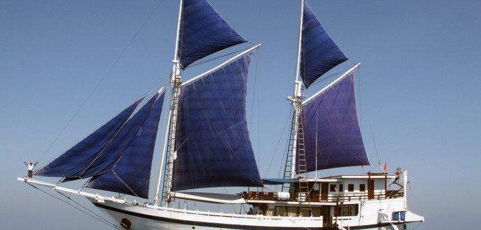 Komodo Dancer at The Scuba News