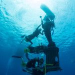 The Guardian of the Sea, Cayman Islands at The Scuba News