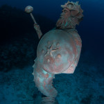 The Guardian of the Sea, Cayman Islands at The Scuba News