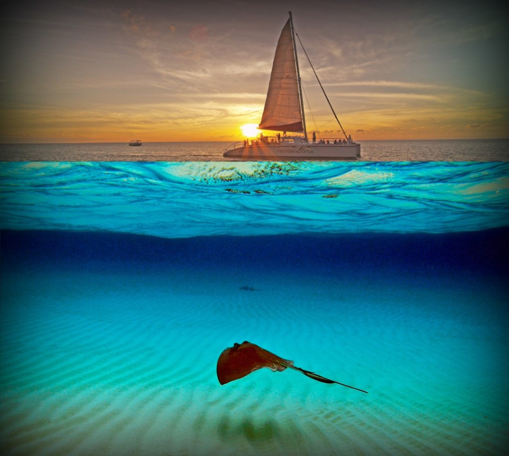 Red Sail Sports' Stingrays and Sunset Catamaran trip visits the Sandbar in late afternoon when all the boat traffic has left so guests can visit with the Stingrays during a quiet time and then enjoy a sunset sail back to the dock.