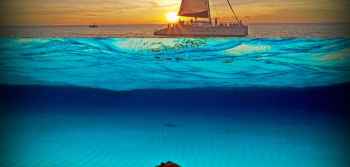 Red Sail Sports' Stingrays and Sunset Catamaran trip visits the Sandbar in late afternoon when all the boat traffic has left so guests can visit with the Stingrays during a quiet time and then enjoy a sunset sail back to the dock.
