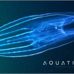 Aquatilis Expedition 14