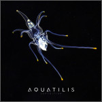 Aquatilis Expedition 22