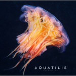 Aquatilis Expedition 3