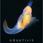 Aquatilis Expedition 8