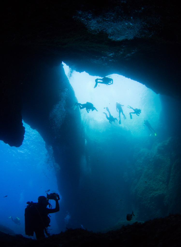 Regaldive Malta