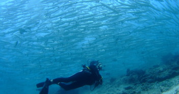 Suzanne Gerber at The Scuba News