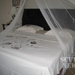 Apartment For Rent in Bonaire, Perfect for divers