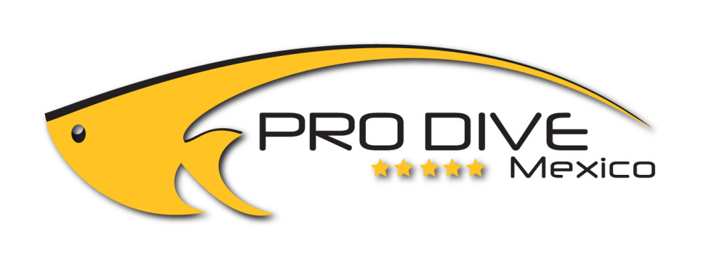 Prodive Mexico