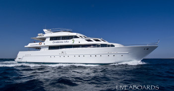 New Website Devoted To Red Sea Liveaboards Launches This Week! Liveaboards Red Sea - MY Contessa Mia