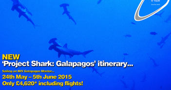 NEW Project Shark Galapagos: Species conservation with blue o two… blue o two Project Shark