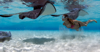 Snorkeler meets a curious and friendly stingray at the Sandbar in Grand Cayman. Photo by Steve Broadbelt, Ocean Frontiers.