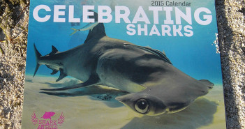 2015 Celebrating Sharks Calendar