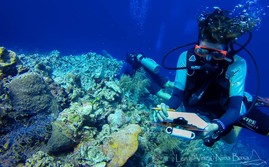 Taking careful notes of the state of the coral for the restoration work to be done. Photo courtesy Len de Vries and Nona Baxa.