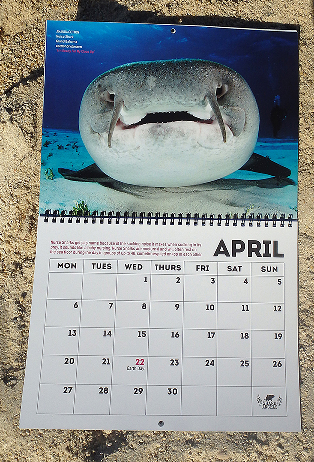 2015 Celebrating Sharks Calendar