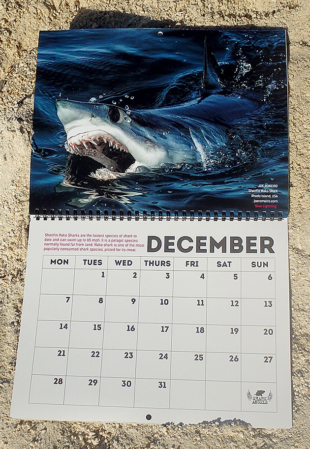 2015 Celebrating Sharks Calendar