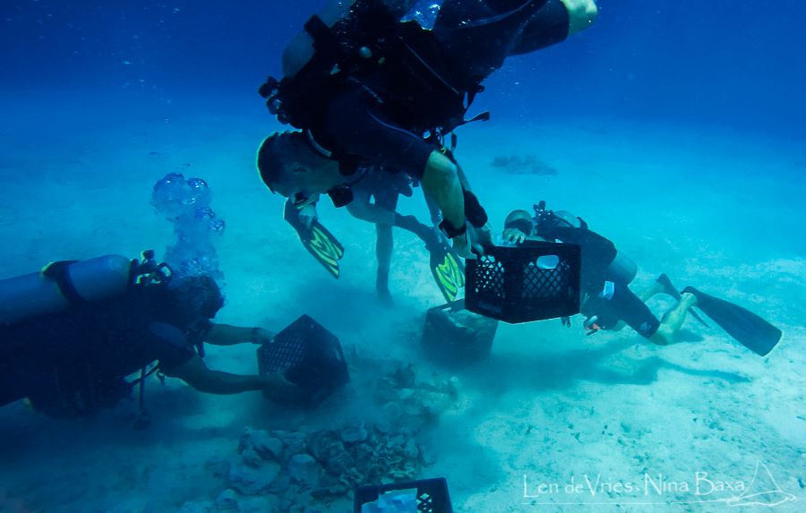 Divers work in teams with leaders to follow strict guidelines during the restoration work. Photo courtesy Len de Vries and Nina Baxa.