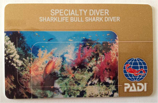 PADI Bull Shark Diver Specialty course - Playa del Carmen