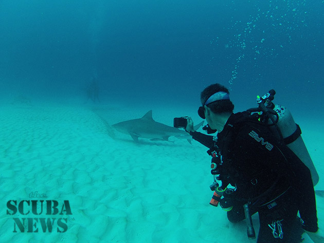 PADI Bull Shark Diver Specialty course - Playa del Carmen