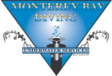 Monterey Bay Diving