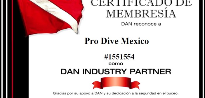 Pro Dive Mexico DAN Certificate