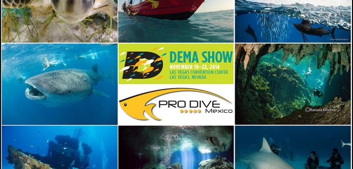 DIVENEWSWIRE DEMA PRO DIVERS