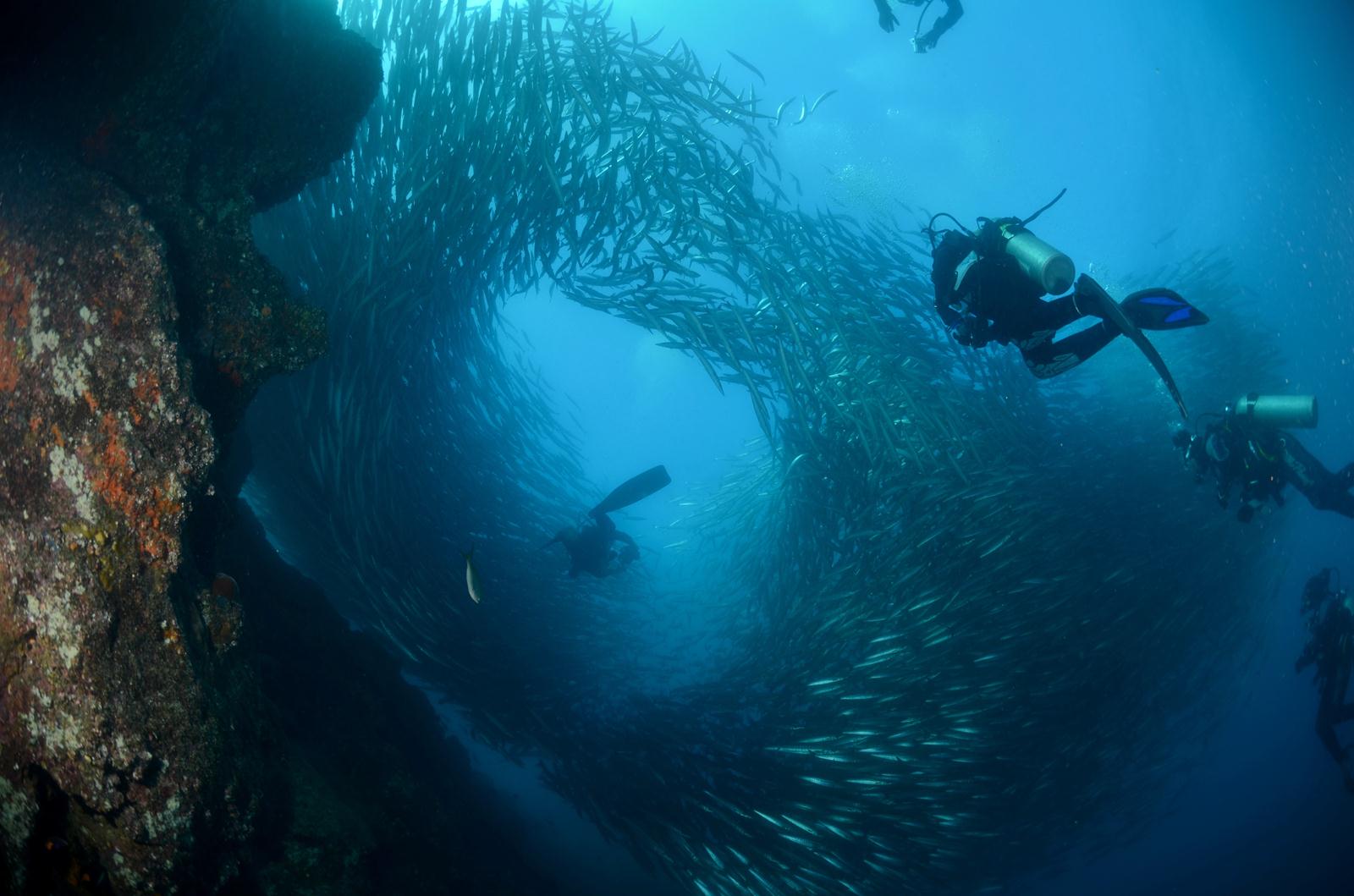 Galapagos Expedition