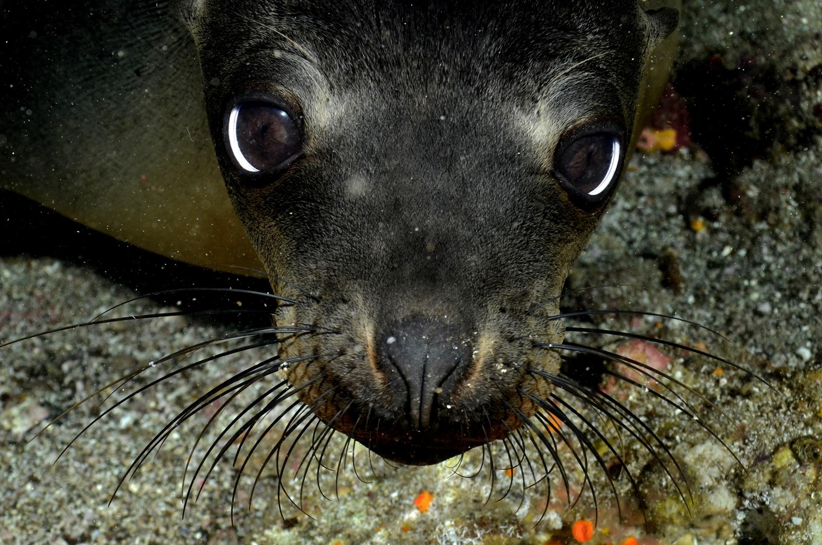 Galapagos Expedition