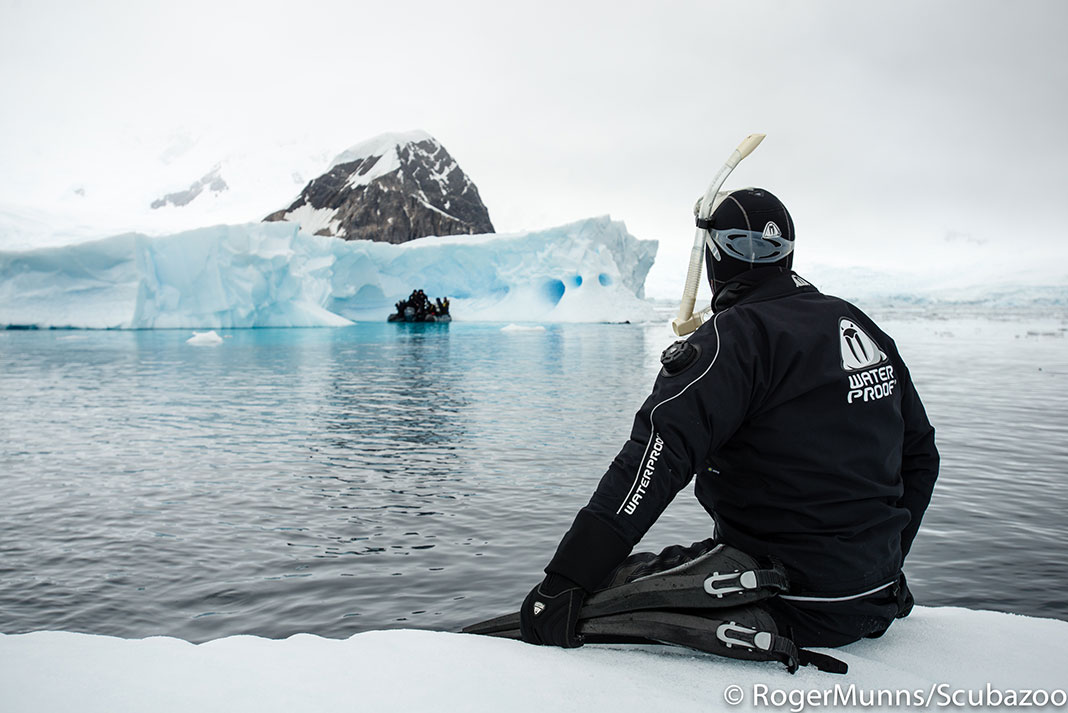 Polar Diving and Snorkeling at The Scuba News