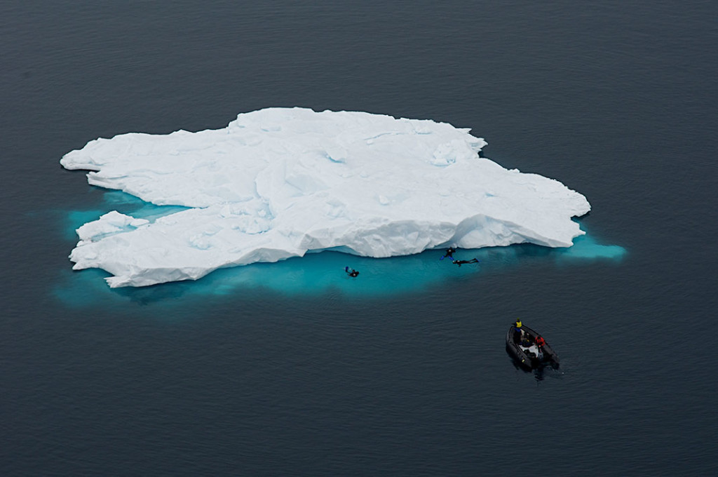 Polar Diving and Snorkeling at The Scuba News