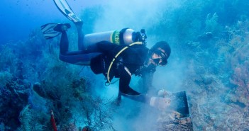 Cayman Islands Reef Restoration