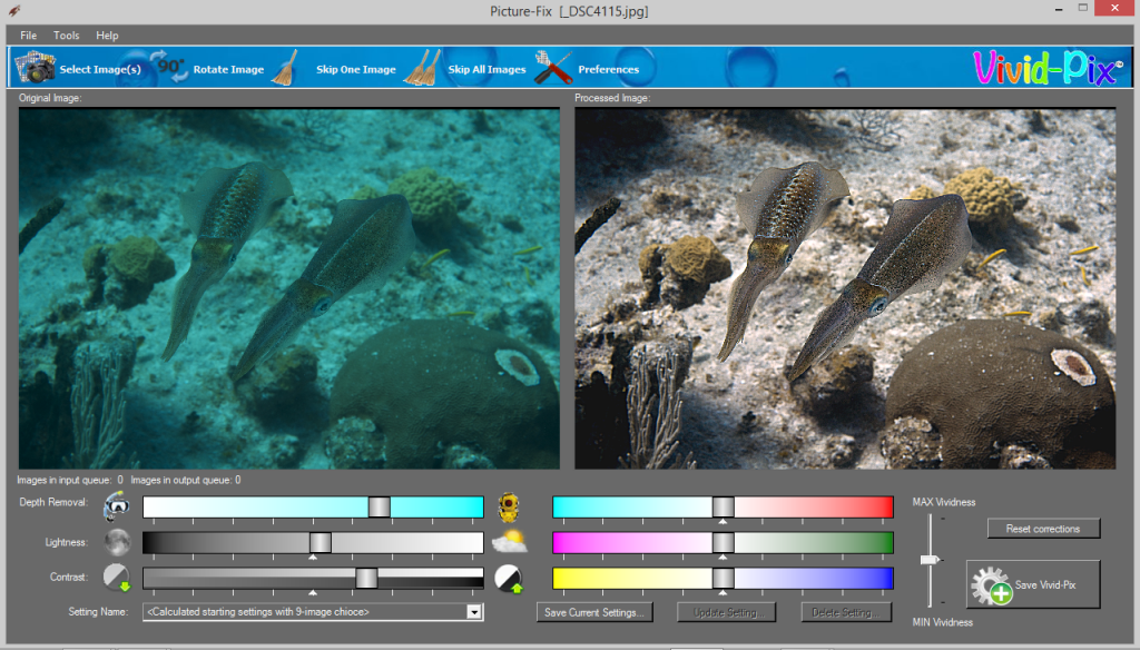 The Vivid-Pix editing program allows the user to correct color in underwater photos as can be seen with this comparison screenshot of squid. Screenshot courtesy Rick Voight.