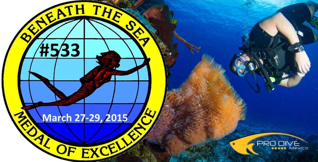 Beneath The Sea 2015