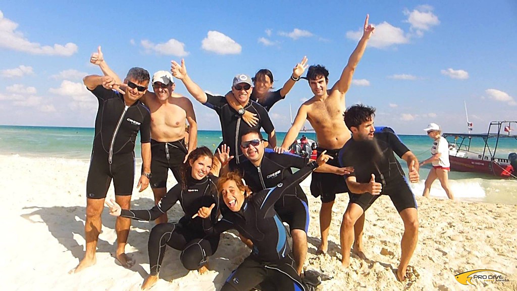 PDM family & group