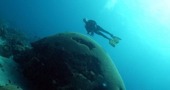 diving-the-giant-brain-coral_extra-diversRS