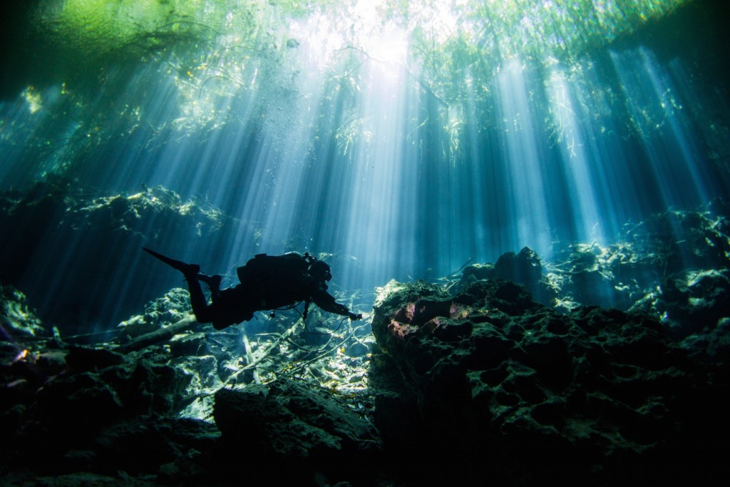 A Day Diving The Cenotes