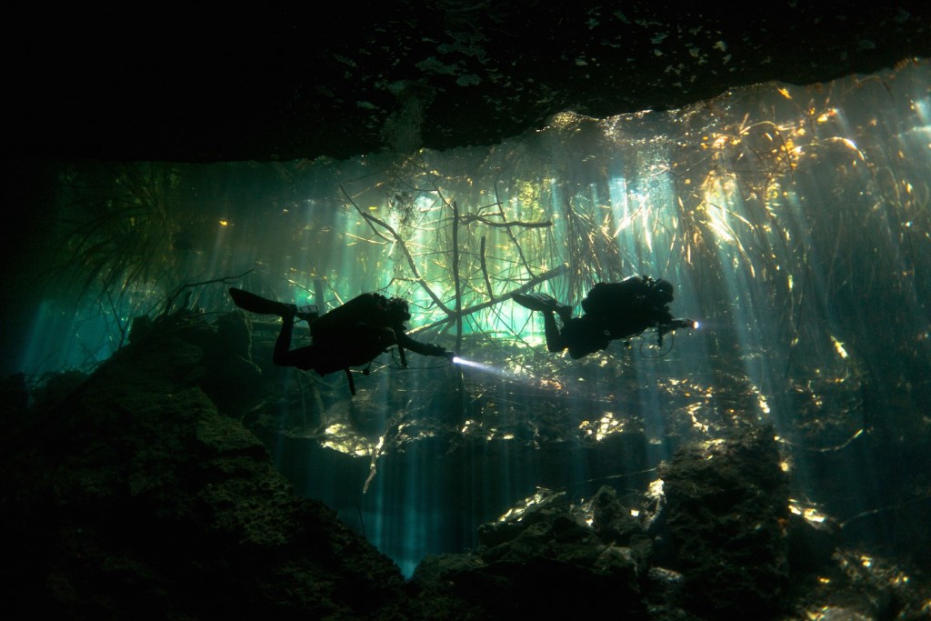 A Day Diving The Cenotes