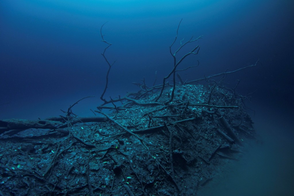 A Day Diving The Cenotes