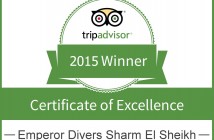 TA Award 2015 Sharm
