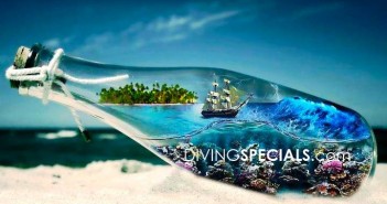 Are you the adventure diver? divingspecials