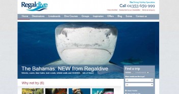 Marketing Manager Wanted With Regaldive in the UK regaldive-screen