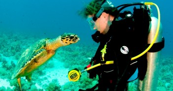 028JaneMorgan_ElGouna.turtle diver sm