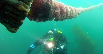 Meet Today’s Featured Diver – Michael Bear from Ocean Sanctuaries Mike Bear Interview
