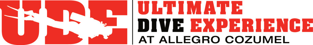 UDE Logo