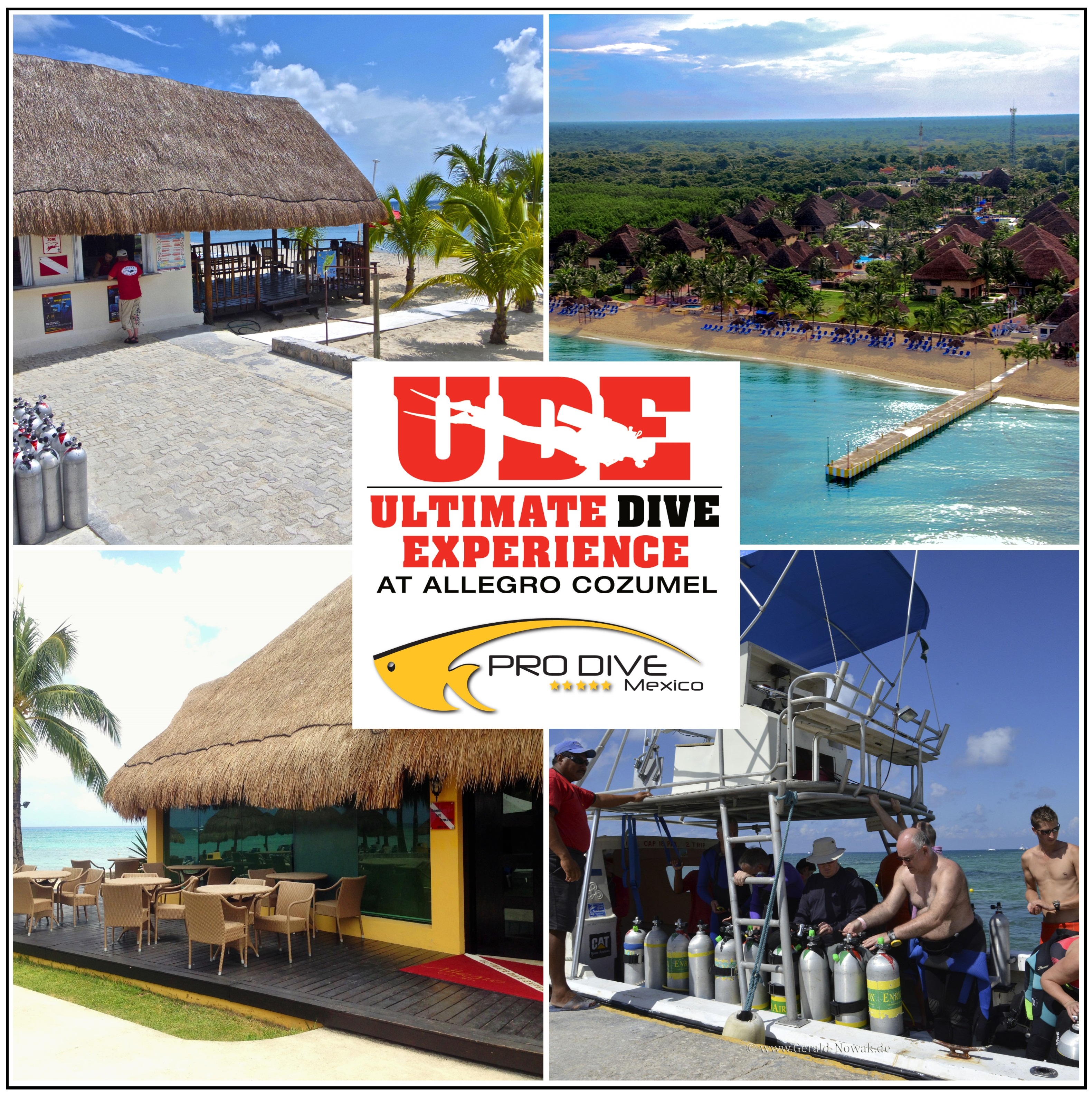 VIP Dive Concept “Ultimate Dive Experience” at Allegro Cozumel with Pro  Dive Mexico - The Scuba News