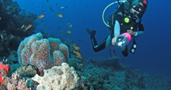 Regaldive Launches its New Diving Holiday Website Image credit: Malcolm Nobbs